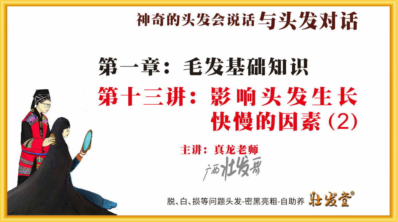 第13讲：影响头发生长快慢的因素（2）